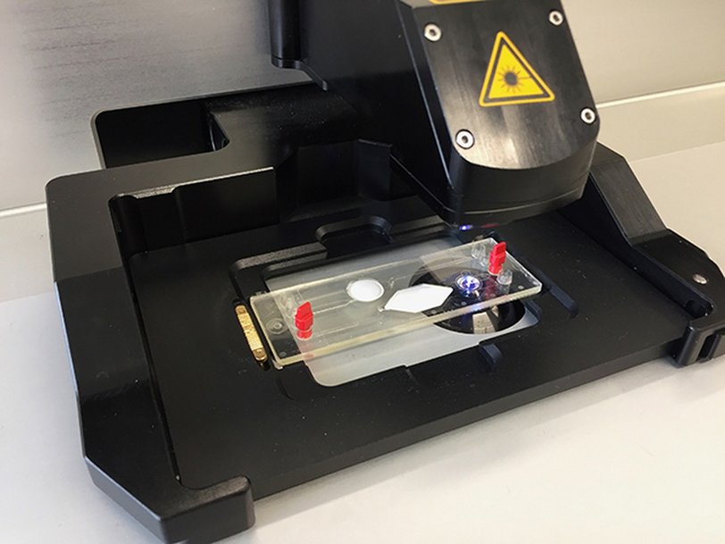 Raman spectroscopy measures corona infected cells